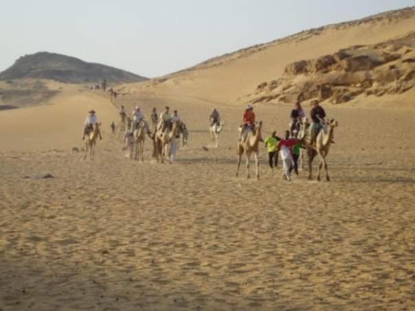 Go Inn Backpackers Asvan Dış mekan fotoğraf