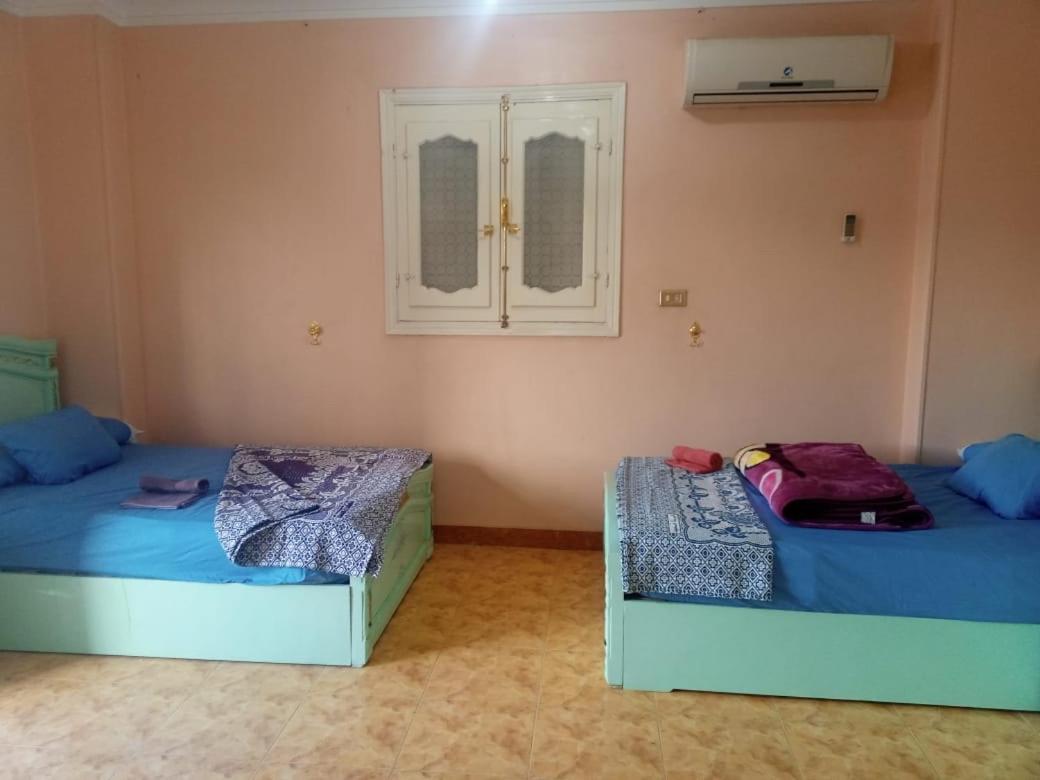 Go Inn Backpackers Asvan Dış mekan fotoğraf