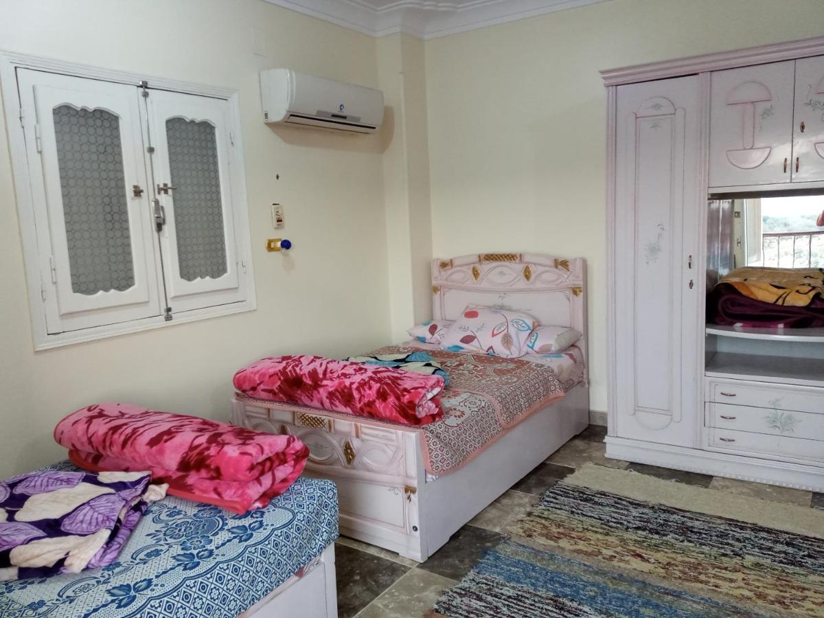 Go Inn Backpackers Asvan Dış mekan fotoğraf
